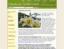 Tablet Screenshot of lilybulb.com